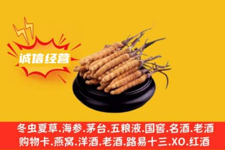 攀枝花回收冬虫夏草